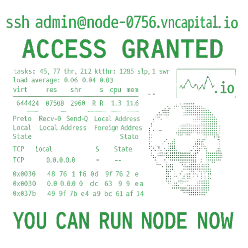 Access Granted — Run Node Now